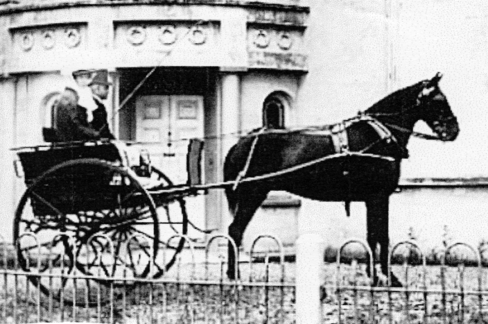 horsecart hove